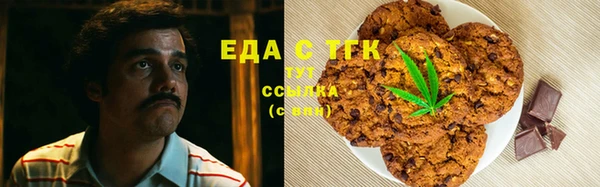 spice Богородицк